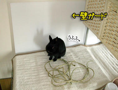 DSCF1803.jpg
