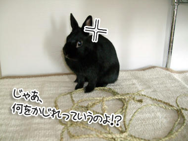 DSCF1804.jpg