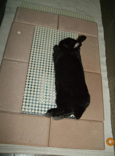 DSCF1879.jpg