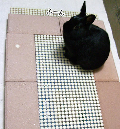 DSCF1830.jpg
