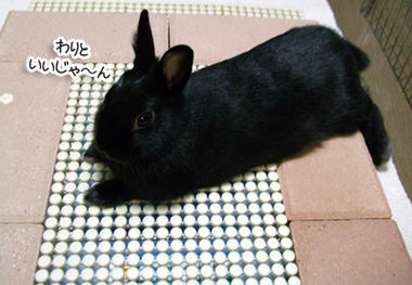 DSCF1829.jpg
