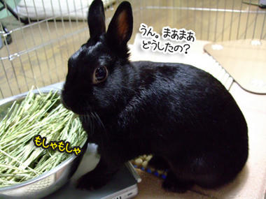 DSCF1885.jpg
