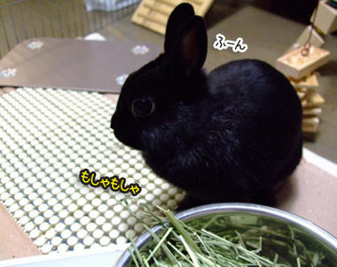 DSCF1887.jpg
