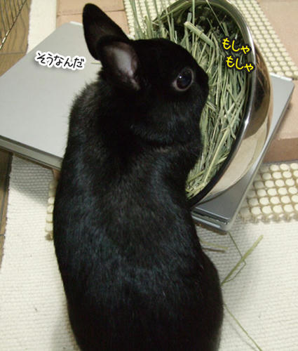 DSCF1894.jpg
