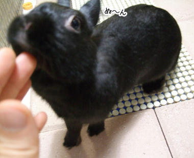 DSCF1876.jpg