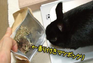 DSCF1935.jpg
