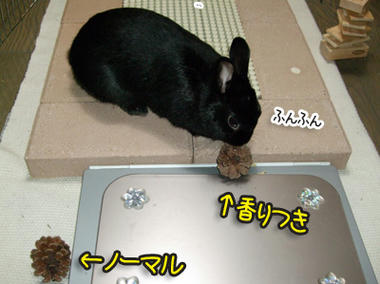 DSCF1948.jpg
