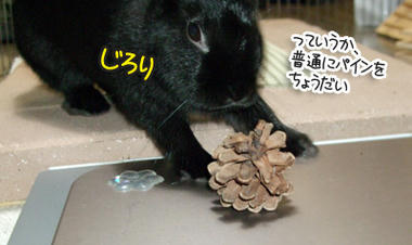 DSCF1957.jpg