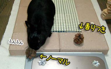 DSCF1963.jpg