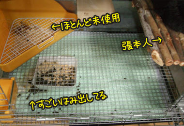 DSCF2006.jpg
