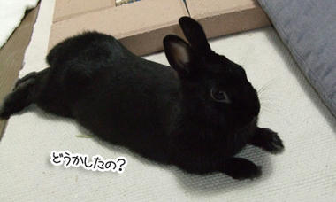 DSCF2039.jpg