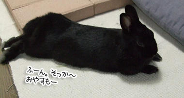 DSCF2038.jpg