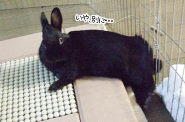 DSCF2143.jpg