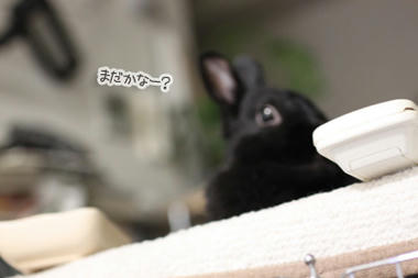まちぼうけ