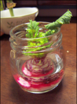 daikon.PNG
