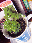 bd89518a.PNG