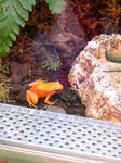 12594544_119429337_70large.jpg