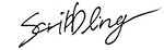 c2424c0c.png