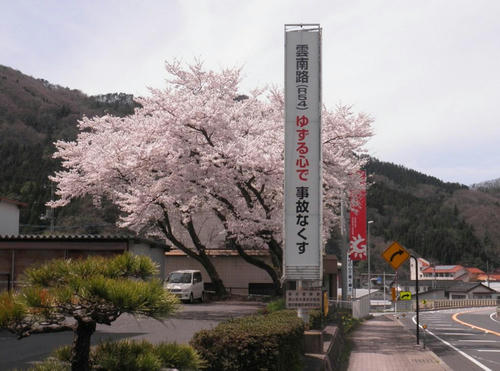 P4150005.jpg