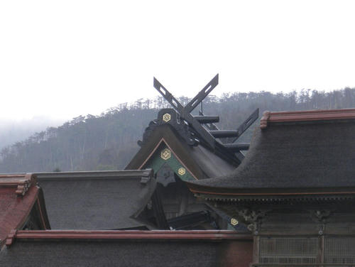 P1160008.jpg