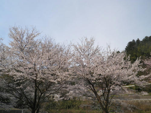 P4040002.jpg
