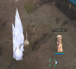 wiz011.jpg