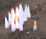 wiz012.jpg