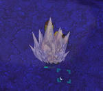 ni013.jpg