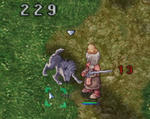 ni018.jpg