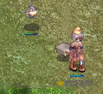 m006.jpg