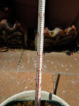 3b.jpg