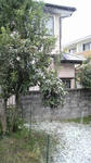 2010121610270000.jpg