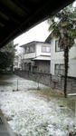 2010121610280000.jpg