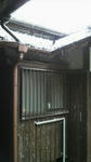 2010121610310000.jpg