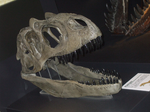 a08d6a6c.png