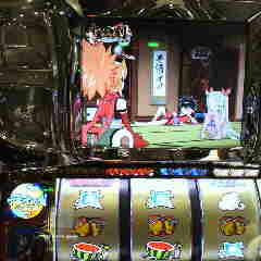 P1000027.jpg