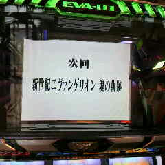 P1000037.jpg