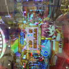 P1000208.jpg