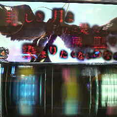 P1000226.jpg