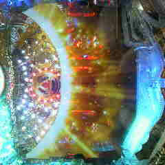 P1000227.jpg
