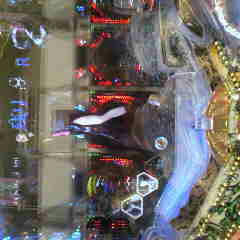 P1000228.jpg