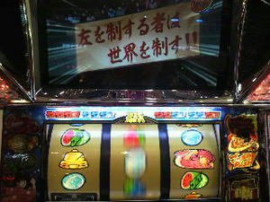 P1000556.jpg