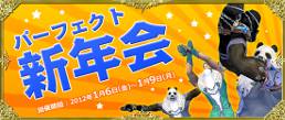 120105.jpg