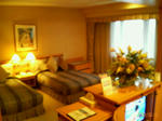 309e5595.jpg