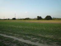 3bf860b0.JPG