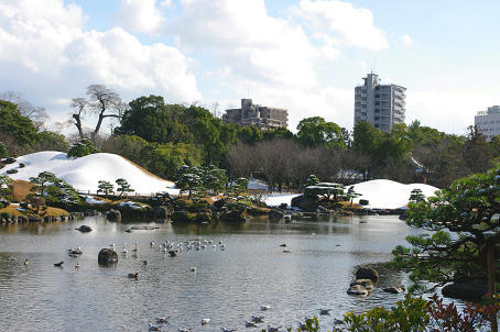 IMGP1032.jpg