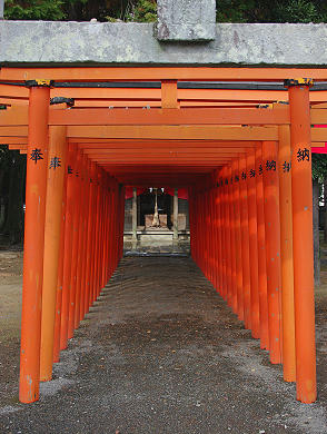IMGP1040.jpg