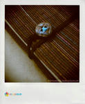 IMG_3974.JPG_effected.jpg