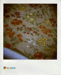 IMG_4113.JPG_effected.jpg