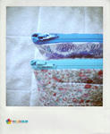 10-02-06_013.jpg_effected.jpg